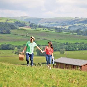Trewythen Lodges